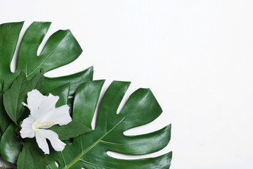 Flat lay composition with tropical leaves and Hibiscus flower on white background. Space for text