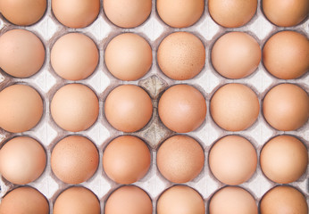 Fresh thirty raw eggs with nature  in the carton box tray  top view organic background
