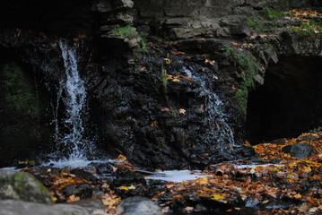 waterfall in forest