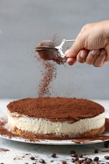 Tiramisu , Tiramisu cheesecake