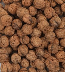 fresh wallnuts texture