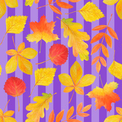 Contrast bright seamless pattern of yellow and red autumn leaves.