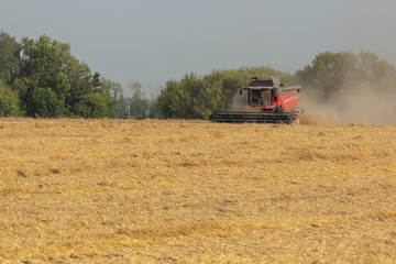 Combine in the field removes ripe rye or wheat. Summer season.