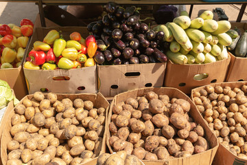Fresh, ripe vegetables: potatoes, zucchini, eggplant are on the trading table in the market. Dietary food.