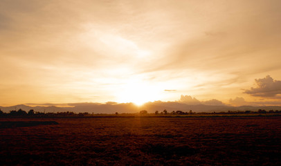 Fototapeta na wymiar Landscape of grass field with sunset in evening.
