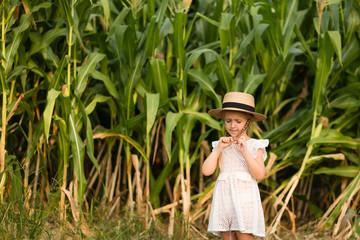 Stylish Little kid in a hat standing in the middle of a corn field. Harvest time. organic agriculture for children. Cute child on a sunny summer day outdoor. Sun light. Happy children day concept