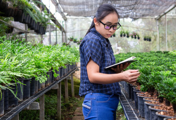 Fototapeta na wymiar Portrait of a farmer Asian woman at work in greenhouse with notebook examines the growing seedlings on the farm and diseases in greenhouse.