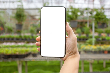 Close-up of hand holding smartphone isolated on nature background with space for your text.