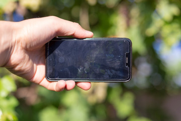 In a smartphone, Taking pictures green trees in the garden. On the screen there are green leaves from nature.