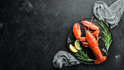 Lobster with spices on a dark background. Top view. Free copy space.