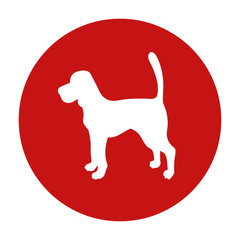 Prohibition dog red circle sign. Breed beagle. Vector illustration isolated on white