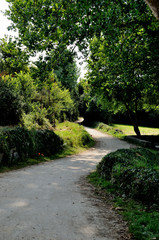 sentier