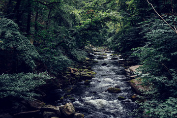 Mystischer Fluss im Bodetal bei Thale