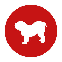 Prohibition dog red circle sign. Breed bulldog. Vector illustration isolated on white