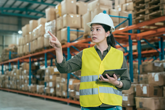 warehouse worker woman in safety vests holding digital tablet and pointing up with finger. young girl staff wearing hard hat working in stockroom. elegant lady employee taking inventory in storehouse