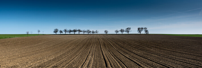 Ploughed field with trees on the horizon