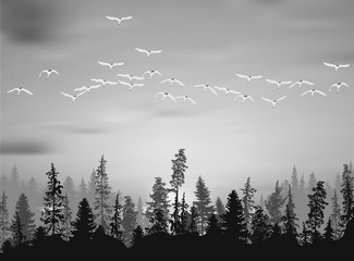 swans above grey trees forest