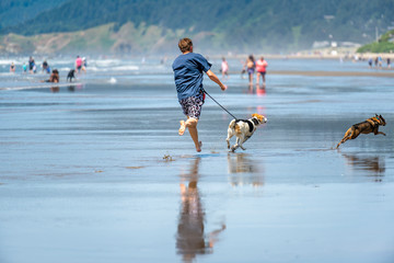 A man with dogs runs at low tide along the shore of the North West Pacific © vit