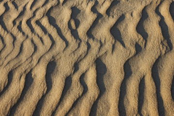 Sand texture, wavy lines.