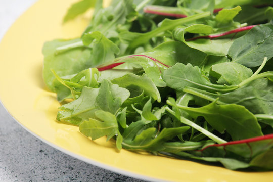 A plate with green salad