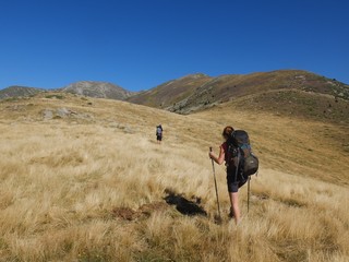 Randonneurs homme et femme avec sac à dos en montagne dans les herbes jaunes