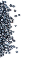 Fresh blueberries on white background with copyspace. Top view