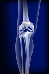 Dark blue transparent view of bones the of knee