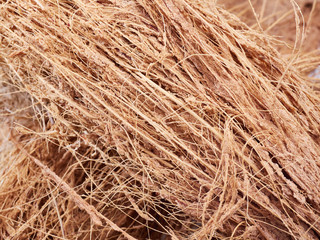 coconut shell is a beautiful texture