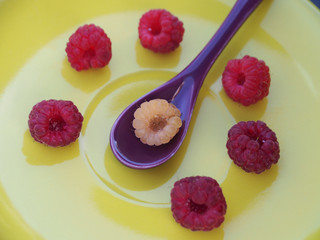 One yellow raspberry berry in a lilac dessert spoon and many red raspberry berries lie in a yellow plate. Colorful fruit picture for close-up design.