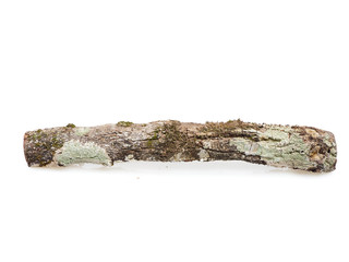 firewood on a white background