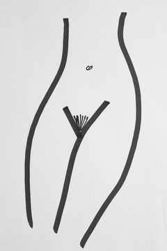 Self Made drawing of a woman's body. The photograph shows the female genital area.