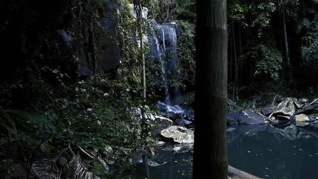 Curti Curtis Falls waterfall located in the Joalah Section of Tamborine National Park which is apart of the Gold Coast Hinterland, Queensland.