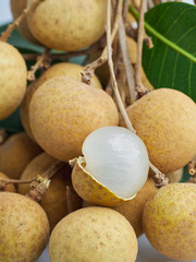 Longan is the economic fruit of Thailand