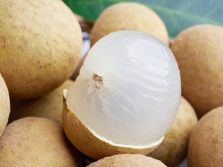 Longan is the economic fruit of Thailand