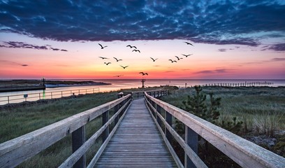 Fototapeta premium brücke am meer