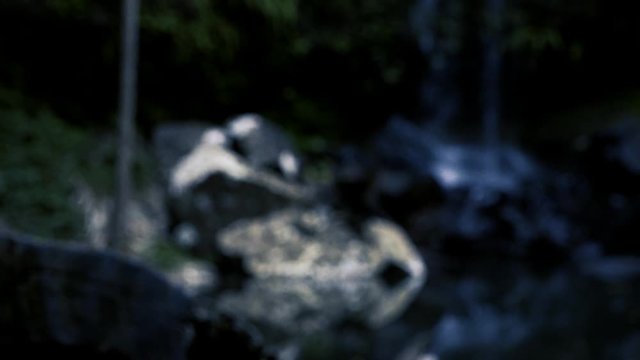 Curti Curtis Falls waterfall located in the Joalah Section of Tamborine National Park which is apart of the Gold Coast Hinterland, Queensland.