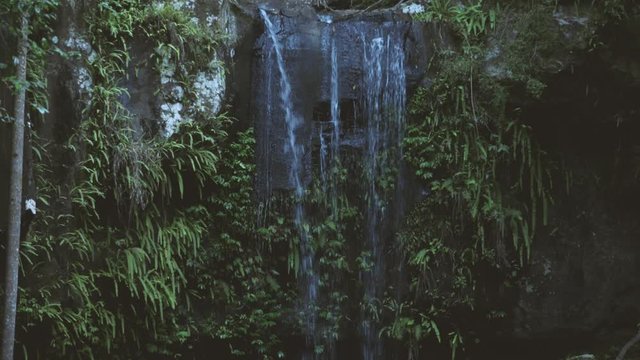 Curti Curtis Falls waterfall located in the Joalah Section of Tamborine National Park which is apart of the Gold Coast Hinterland, Queensland.