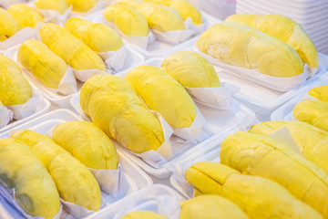 Durian monthong with delicious golden yellow soft flesh packed for sale. Durian King of fruits, Thai most famous fruit.