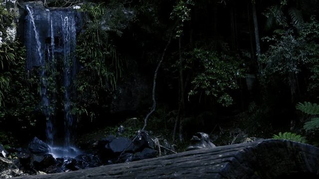 Curti Curtis Falls waterfall located in the Joalah Section of Tamborine National Park which is apart of the Gold Coast Hinterland, Queensland.