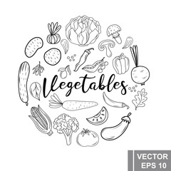 Hand drawing. Vegetables. Set. For your design. Healthy eating