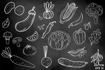 Chalk board. Hand drawing. Vegetables. Set. For your design. Healthy eating