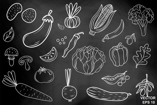 Chalk board. Hand drawing. Vegetables. Set. For your design. Healthy eating