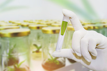 Test pharmaceutical with Shaker plant growth experiments done in the laboratory of plant tissue.