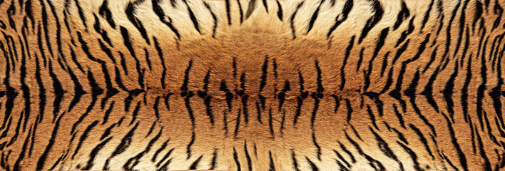 Tiger skin Texture - Image
