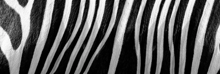 Zelfklevend Fotobehang Zebra zebrahuid Textuur - Afbeelding