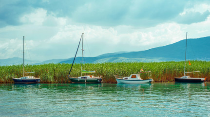 North macedonia. Ohrid. Different sailboats on Ohrid lake beside reeds in sunny day
