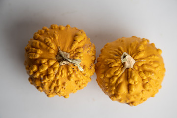 perfect pumpkins on white background