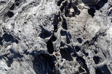 Surface of a weathered grey metamorphic rock.