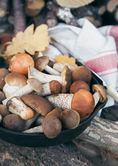 Whole wild mushrooms in cast iron pan on fireplace wood.