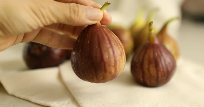 Close up shot of fig fruits in detail